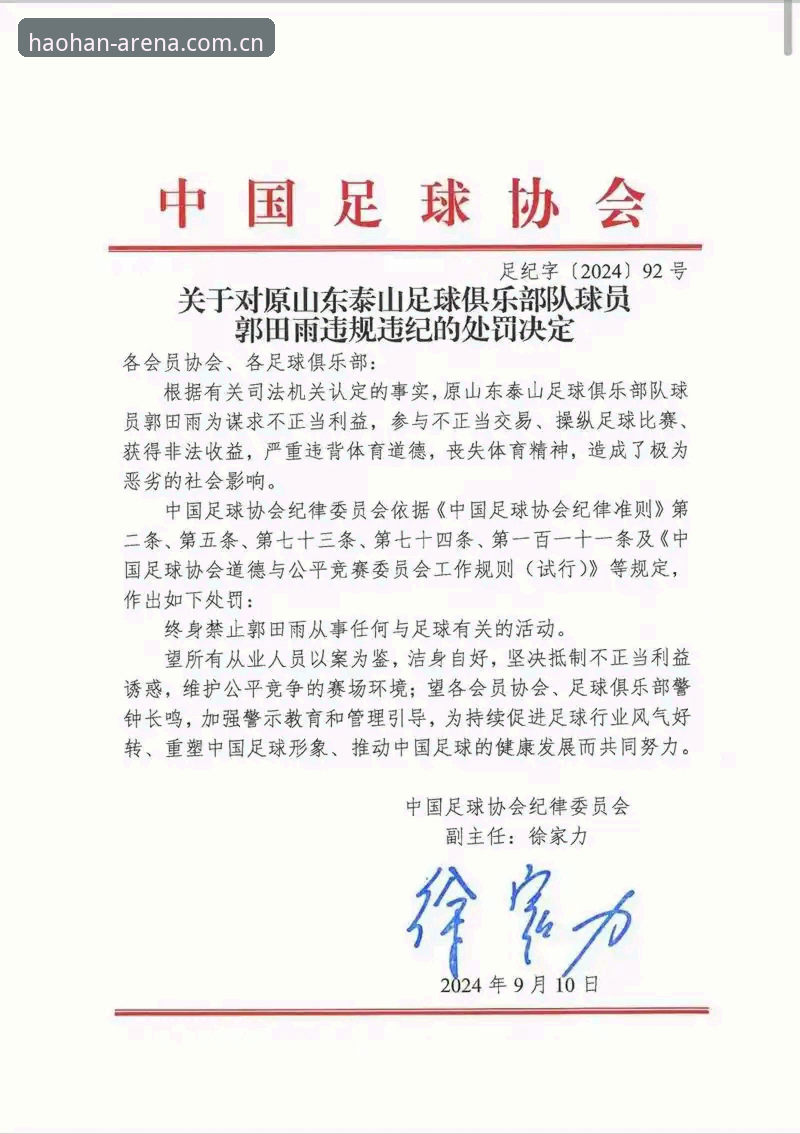 足协第三批禁足名单深度解析：65人受罚背后的5个关键信号